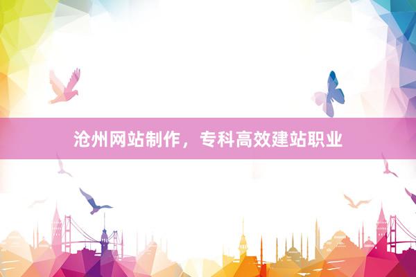 沧州网站制作，专科高效建站职业