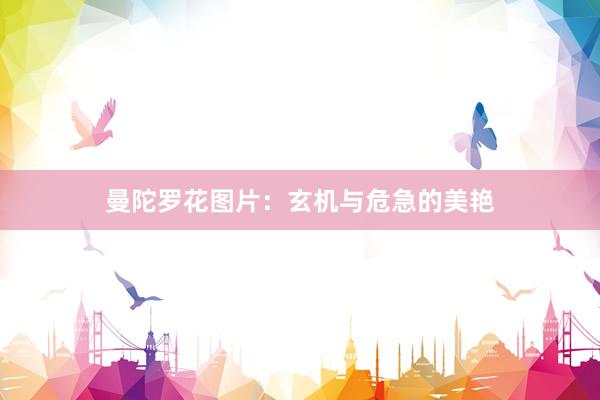 曼陀罗花图片：玄机与危急的美艳